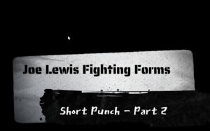 Short Punch - Part 2