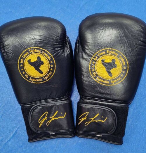 JLFS Boxing Gloves